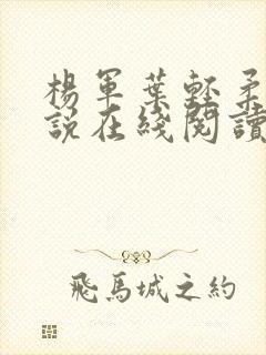 杨军叶轻柔的小说在线阅读