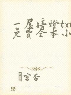 一屋暗灯txt免费全本小说电子书