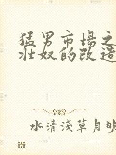 猛男市场之肌肉壮奴的改造