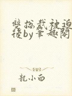 双总裁被迫上墙后by笔趣阁最新章节