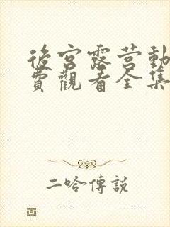 后宫露营动漫免费观看全集完整版