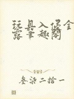 玩具入侵金银花露笔趣阁