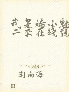 我是娇小魅魔第二季在线观看