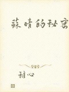 苏晴的秘密小说