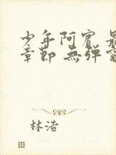 少年阿宾 最新章节 无弹窗 笔趣阁