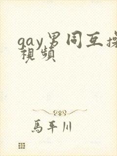 gay男同互操视频