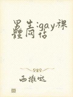 男生:gay裸体网站