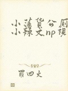 小荡货公厕h文小辣文np视频