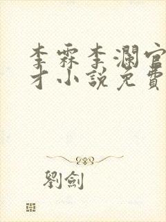 李霖李澜官场奇才小说免费阅读封面