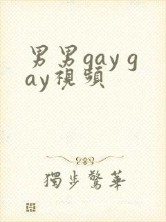 男男gay gay视频