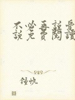 不必再说爱我小说免费阅读无弹窗