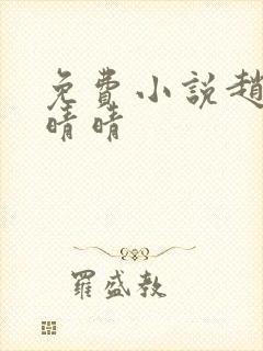 免费小说赵旭李晴晴封面