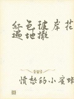 红色彼岸花花瓣遍地撒