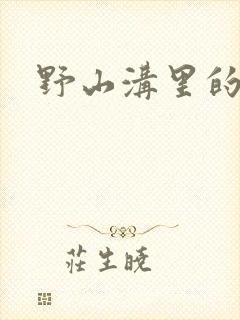 野山沟里的村庄