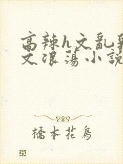 高辣h文乱乳h文浪荡小说苏柔