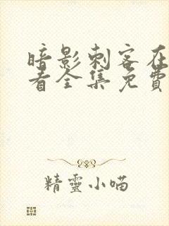 暗影刺客在线观看全集免费播放