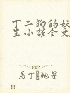 丁二狗的妖孽人生小说全文免费笔趣阁