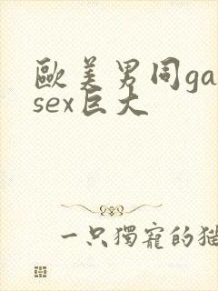 欧美男同gaysex巨大封面