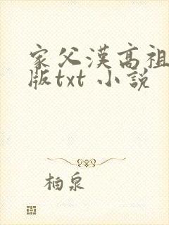家父汉高祖精校版txt 小说