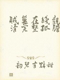 贼巢在线观看高清完整孤胆英雄国语封面