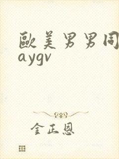 欧美男男同性gaygv封面