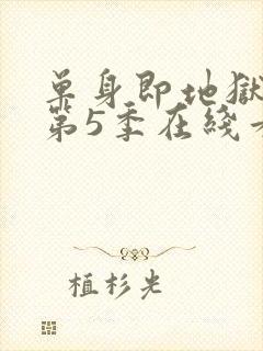 单身即地狱综艺第5季在线看