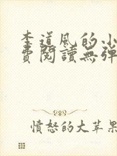 李道风的小说免费阅读无弹窗封面