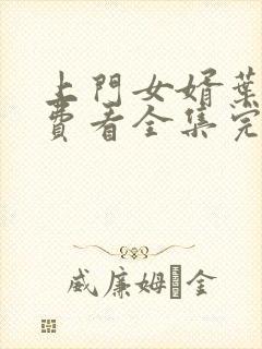 上门女婿叶辰免费看全集完整版