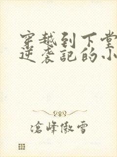 穿越到下堂王妃逆袭记的小说封面