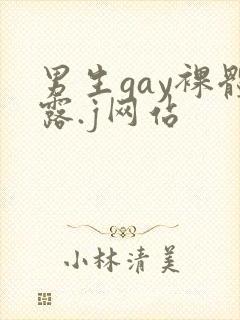 男生gay裸体露.j网站