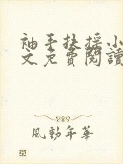 袖手扶摇小说全文免费阅读笔趣阁