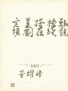 完美搭档韩剧电视剧在线观看全集高清