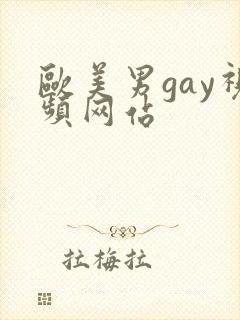 欧美男gay视频网站