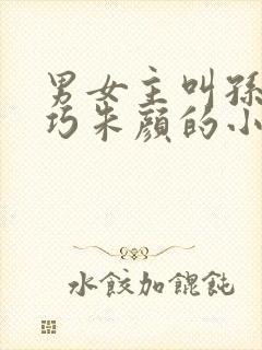 男女主叫孙哲叶巧朱颜的小说