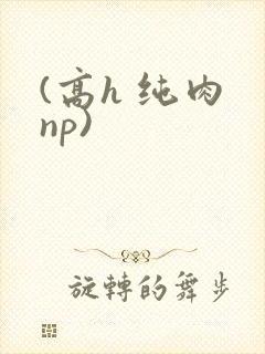 (高h 纯肉 np)