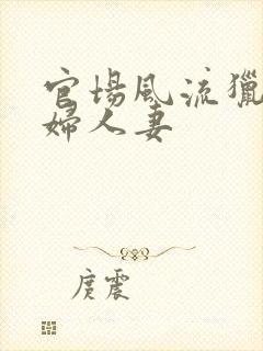 官场风流猎艳美妇人妻