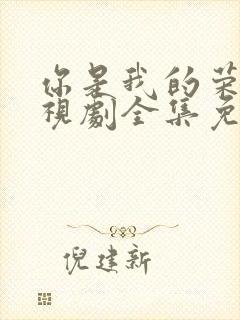 你是我的荣耀电视剧全集免费西瓜封面