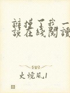 谁摸了我一下小说在线阅读封面