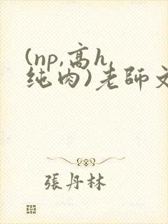 (np,高h,纯肉)老师文