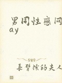 男同性恋网站gay