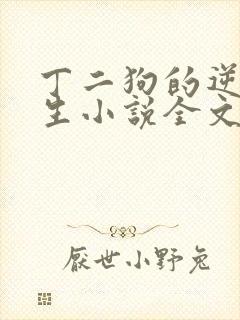 丁二狗的逆袭人生小说全文阅读