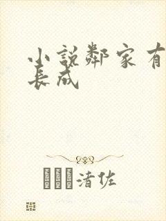 小说邻家有女初长成封面