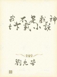 我不是戏神txt下载小说