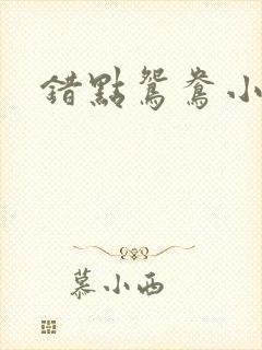 错点鸳鸯小说