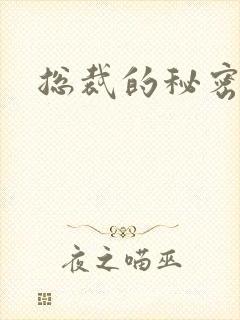 总裁的秘密情人