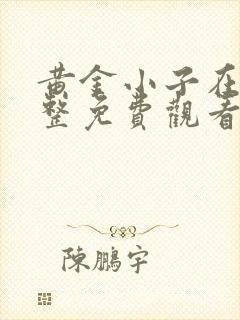 黄金小子在线完整免费观看高清