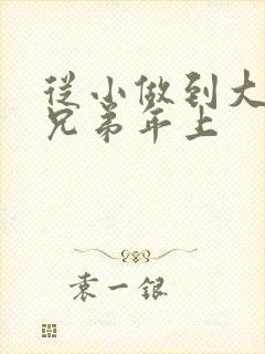 从小做到大骨科兄弟年上