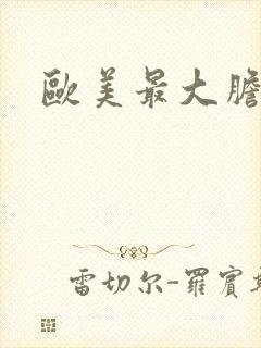 欧美最大胆裸体