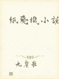 纸飞机小说