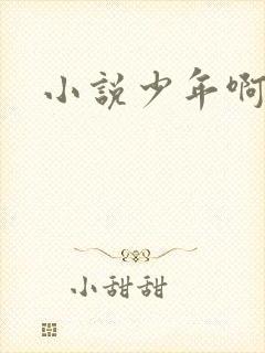 小说少年啊宾封面